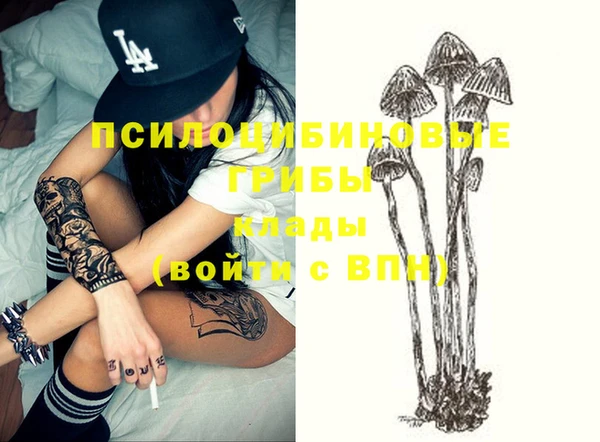 метамфетамин Алексин