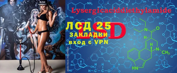 индика Алзамай