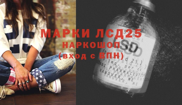 индика Алзамай