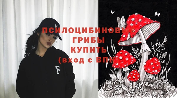 индика Алзамай