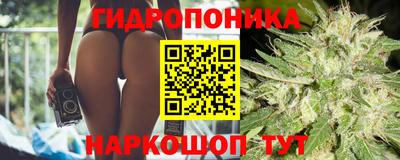 мяу мяу мука Кингисепп