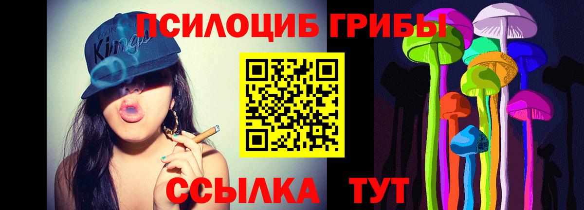 Красноуфимск  Псилоцибиновые грибы прущие грибы  Вход с VPN 